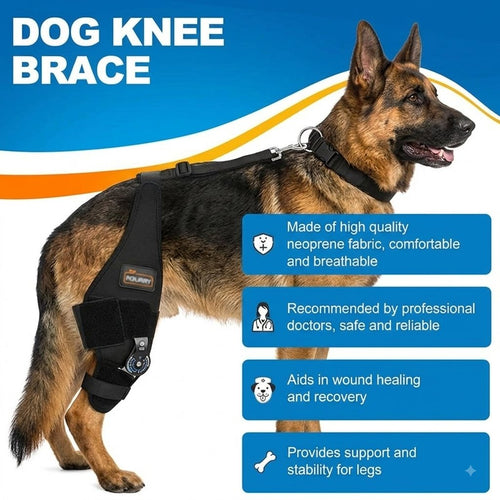 SacredHandmade Medical Grade Hinged Dog Knee Brace Anti Slip ACL CCL Tear Recovery Support
