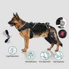 SacredHandmade Medical Grade Hinged Dog Knee Brace Anti Slip ACL CCL Tear Recovery Support